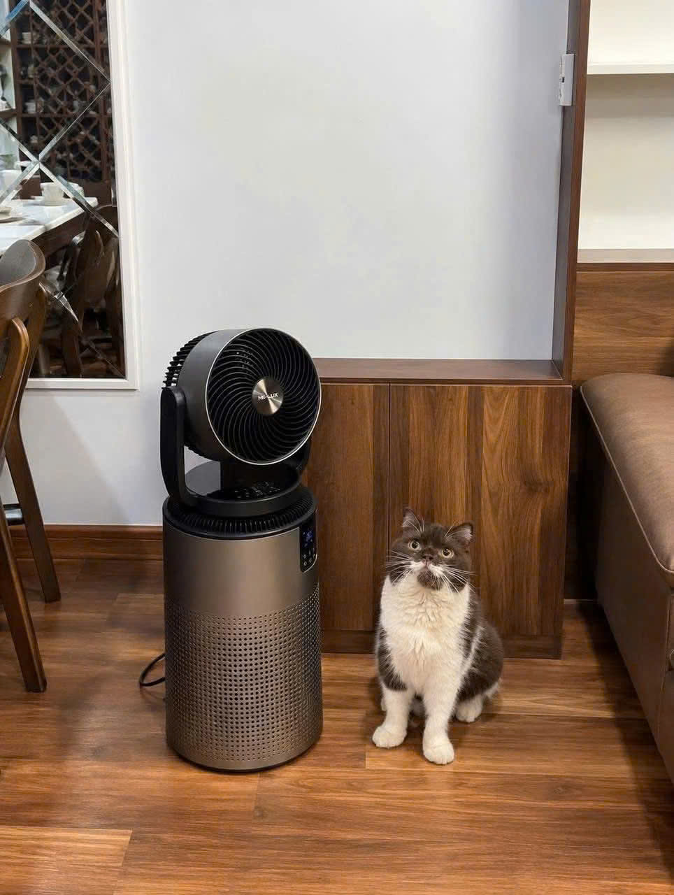 Máy lọc không khí MILUXURY X6 Gen 2 graphite trong phòng khách có thú cưng